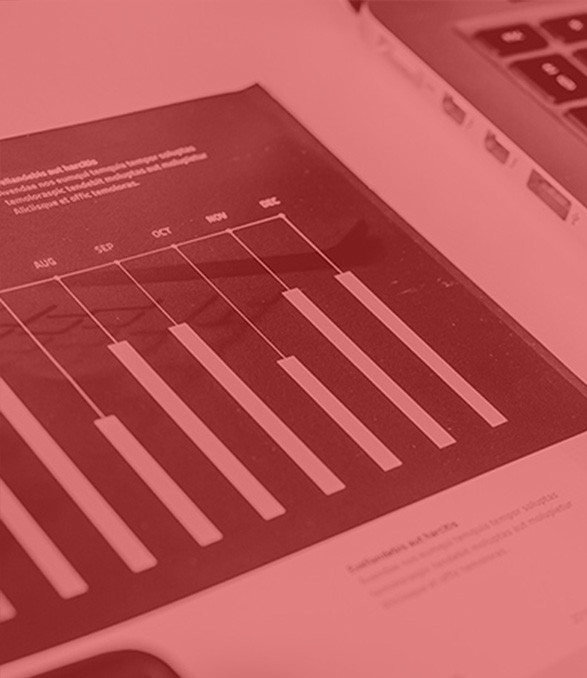 dummy-img-calculator24red